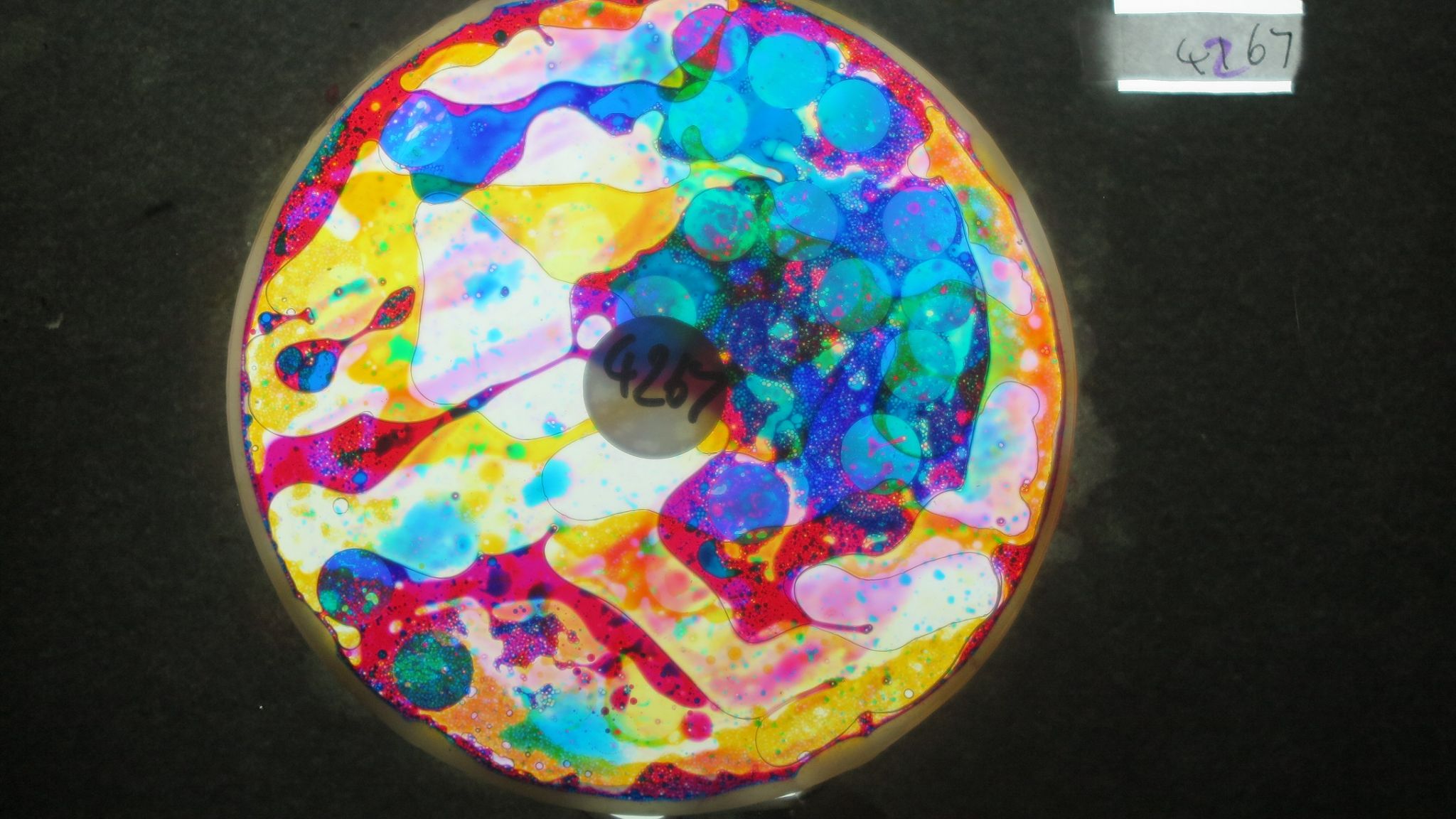 BV4267 bubble vision oil wheel